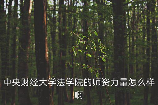中央財經大學法學院的師資力量怎么樣啊