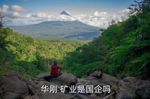  華剛 礦業是國企嗎