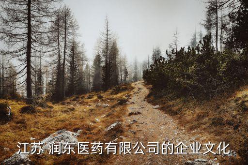 江蘇 潤東醫藥有限公司的企業文化