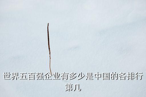世界五百強企業有多少是中國的各排行第幾