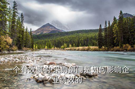 一個有效率的 采購部門是如何影響企業績效的