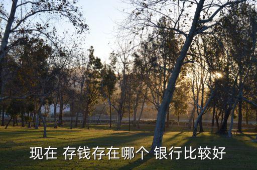 現在 存錢存在哪個 銀行比較好