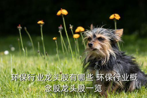  環保行業龍頭股有哪些 環保行業概念股龍頭股一覽