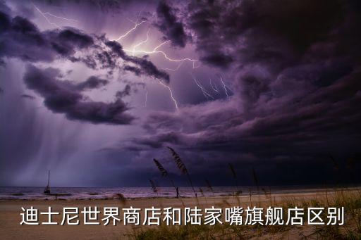  迪士尼世界商店和陸家嘴旗艦店區別