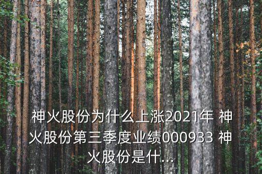  神火股份為什么上漲2021年 神火股份第三季度業績000933 神火股份是什...