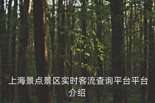 上海景點景區實時客流查詢平臺平臺介紹
