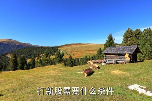 股票發行可采用