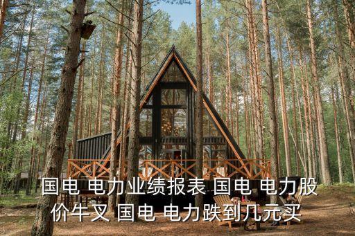  國電 電力業績報表 國電 電力股價牛叉 國電 電力跌到幾元買