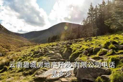 云南六城置業有限公司,云南梵舍置業有限公司