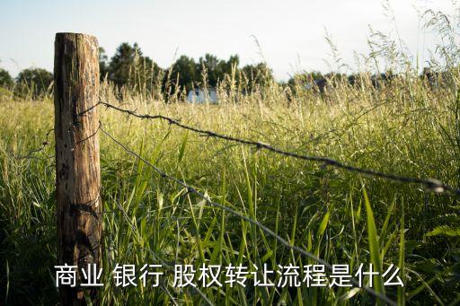 商業 銀行 股權轉讓流程是什么