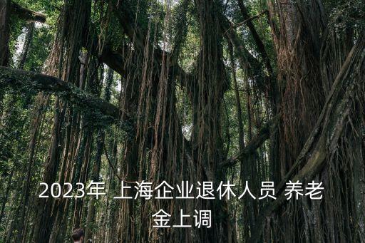 上海今年養老金加多少,今年上海農民養老金加多少