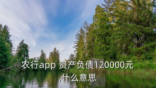 農業銀行資產負債表分析