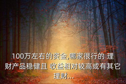 100萬左右的資金,哪家很行的 理財產品穩健且 收益相對較高或有其它 理財...