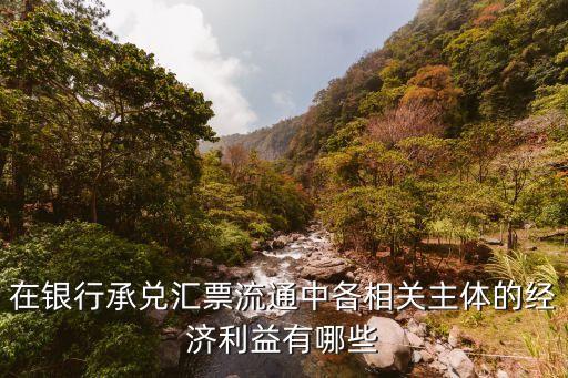 在銀行承兌匯票流通中各相關主體的經濟利益有哪些