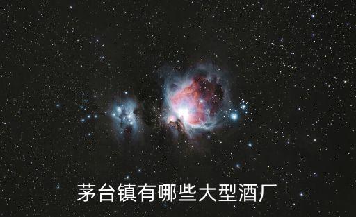 茅臺鎮有哪些大型酒廠
