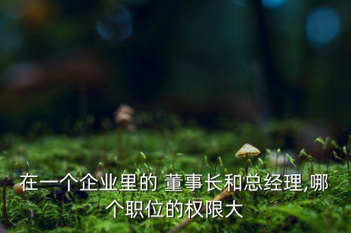 在一個企業里的 董事長和總經理,哪個職位的權限大