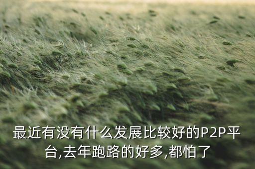 最近有沒有什么發展比較好的P2P平臺,去年跑路的好多,都怕了
