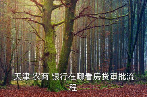  天津 農商 銀行在哪看房貸審批流程