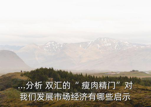 雙匯瘦肉精事件對集團影響,雙匯集團瘦肉精內部控制的現實意義