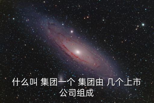 什么叫 集團一個 集團由 幾個上市公司組成