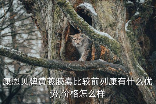 康恩貝牌黃莪膠囊比較前列康有什么優勢,價格怎么樣