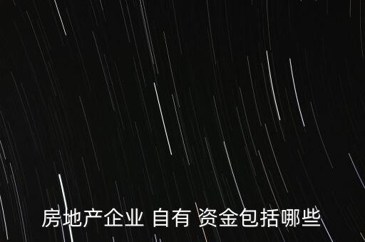 房地產企業 自有 資金包括哪些