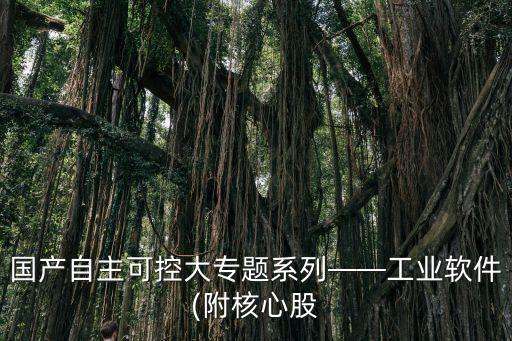 國產自主可控大專題系列——工業軟件(附核心股