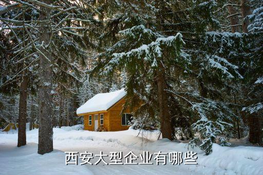 西安大型企業有哪些