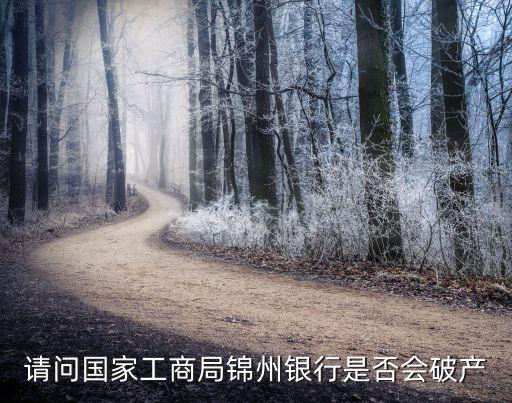 中國商業銀行境外收費一攬