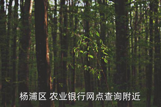 上海農業銀行漕溪路支行4000萬,農業銀行漕溪路支行電話