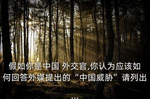 國外評價(jià)中國外交,中國外交評價(jià)300字