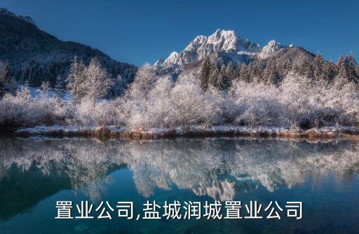 興潤置業公司,鹽城潤城置業公司