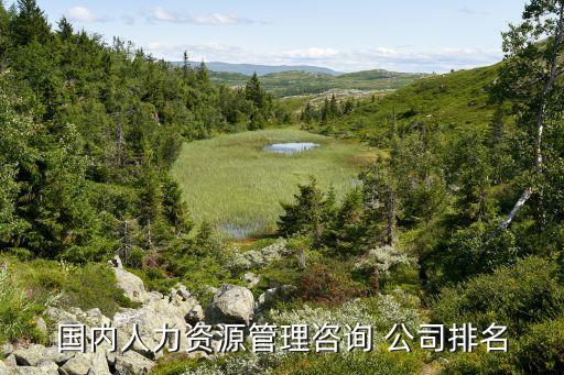 國內人力資源管理咨詢 公司排名