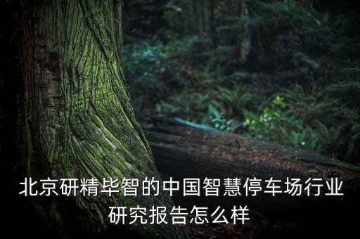  北京研精畢智的中國智慧停車場行業研究報告怎么樣