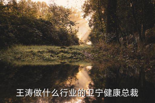 王濤做什么行業的衛寧健康總裁