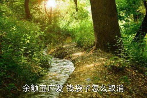 廣發基金錢袋子app下載