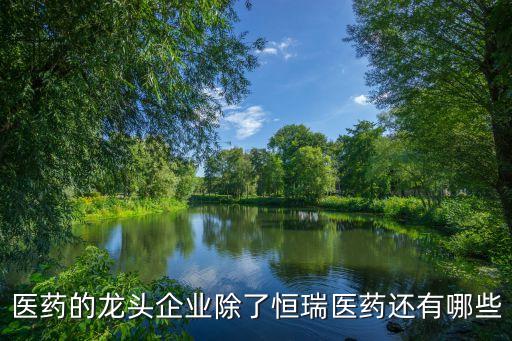 醫藥的龍頭企業除了恒瑞醫藥還有哪些