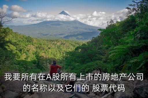 我要所有在A股所有上市的房地產公司的名稱以及它們的 股票代碼