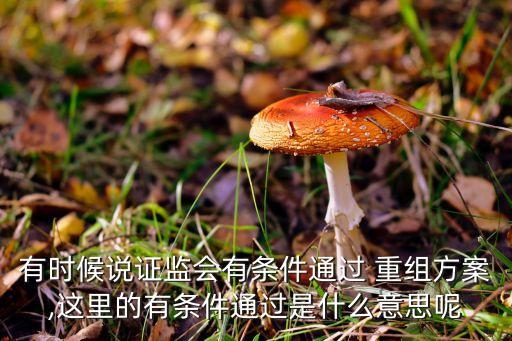 中國證監會上市公司并購重組審核委員會,上市公司并購重組審核委員會工作規程