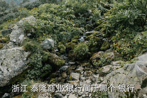 浙江 泰隆商業 銀行屬于哪個 銀行