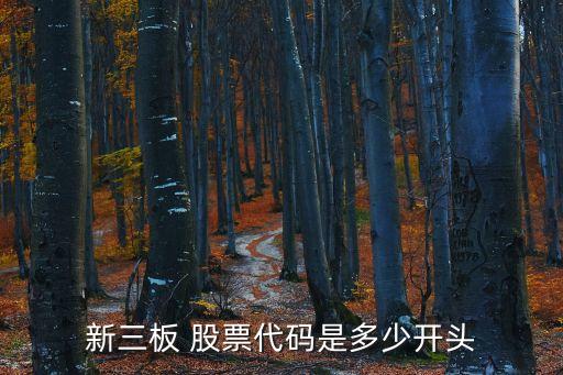 股票300098是創業板嗎