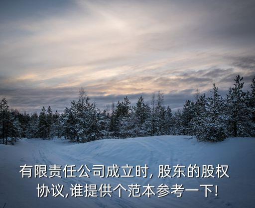 投資管理有限公司股東協議,有限公司股東退出機制協議