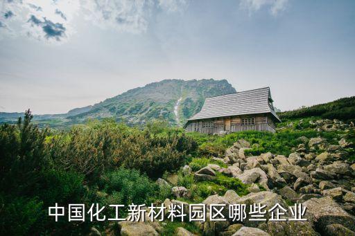 中國化工新材料園區哪些企業
