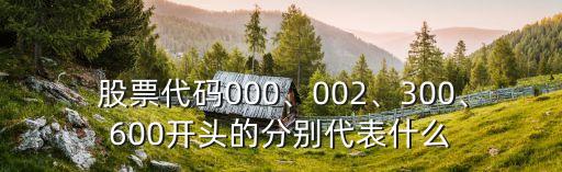  股票代碼000、002、300、600開頭的分別代表什么
