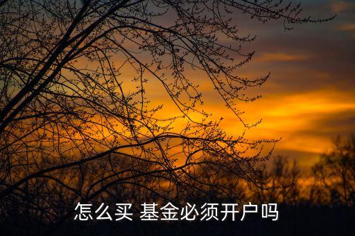 怎么買(mǎi) 基金必須開(kāi)戶嗎