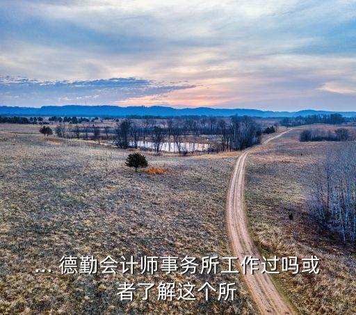 德勤咨詢(xún)公司業(yè)務(wù),日本德勤咨詢(xún)公司年薪