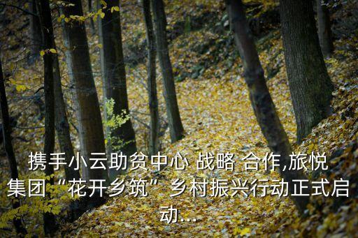 鄉政府和公司旅游合作戰略協議