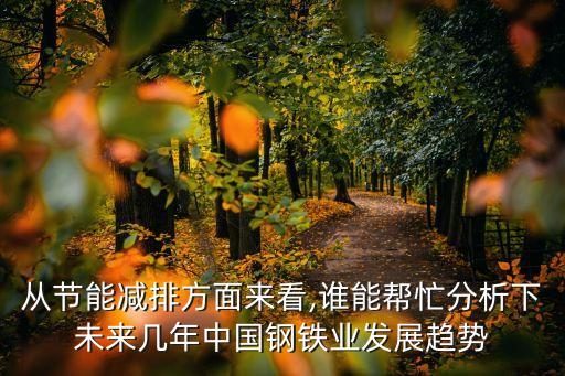 從節能減排方面來看,誰能幫忙分析下未來幾年中國鋼鐵業發展趨勢