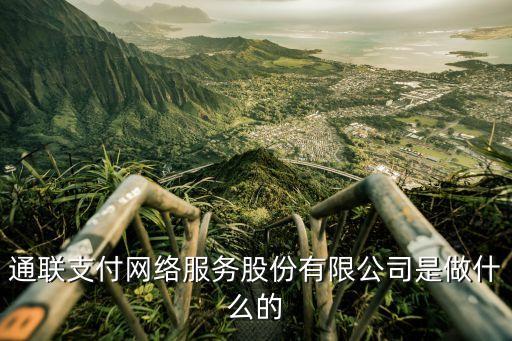 通聯支付網絡服務股份有限公司是做什么的