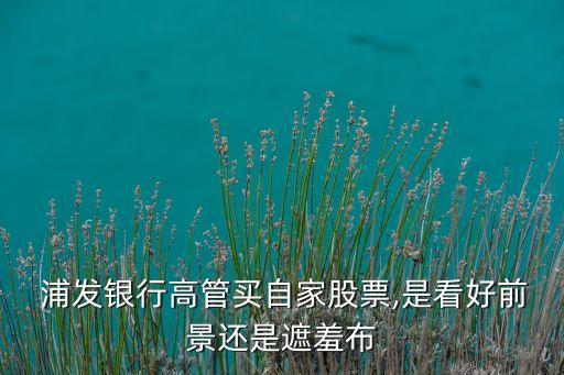  浦發銀行高管買自家股票,是看好前景還是遮羞布